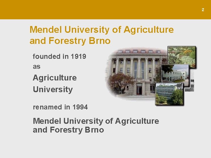 2 Mendel University of Agriculture and Forestry Brno founded in 1919 as Agriculture University