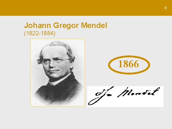 3 Johann Gregor Mendel (1822 -1884) 1866 