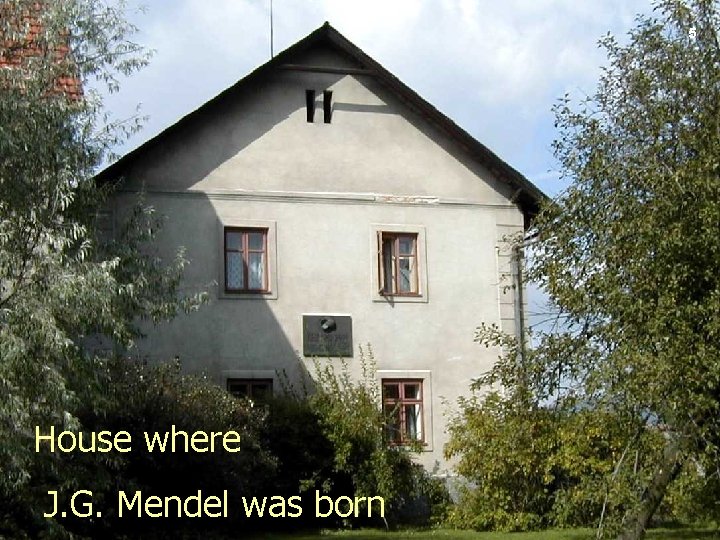 5 House where J. G. Mendel was born 