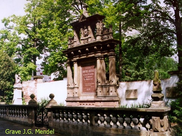 8 Grave J. G. Mendel 
