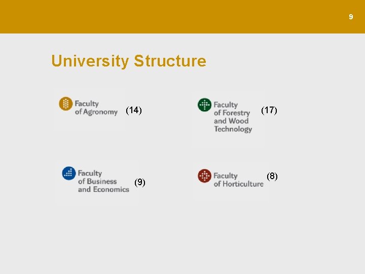 9 University Structure (14) (9) (17) (8) 