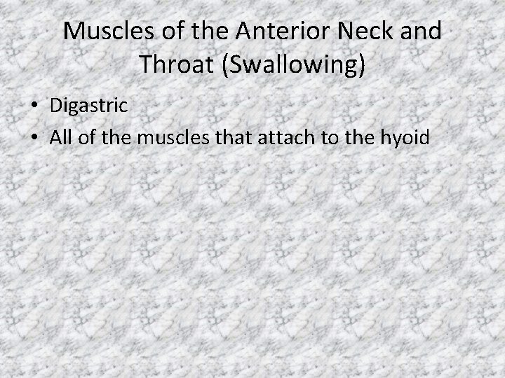 Muscles of the Anterior Neck and Throat (Swallowing) • Digastric • All of the