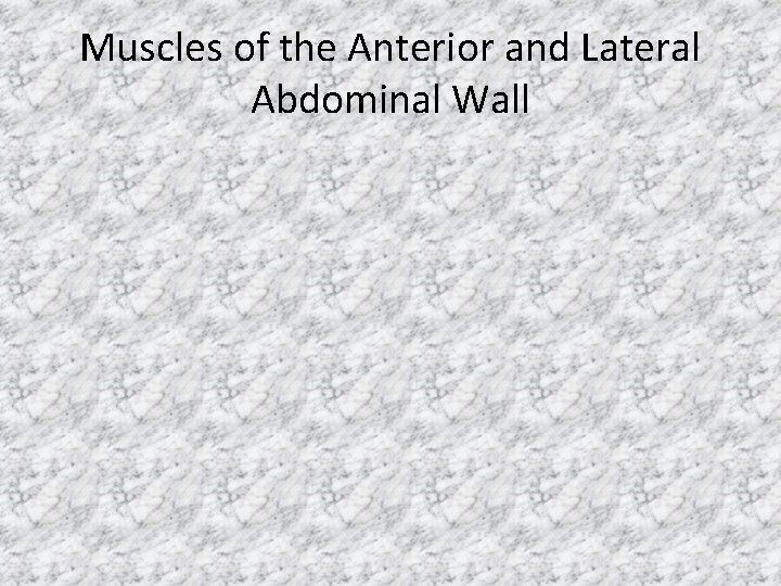 Muscles of the Anterior and Lateral Abdominal Wall 