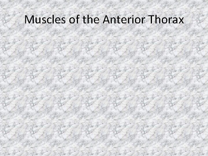 Muscles of the Anterior Thorax 