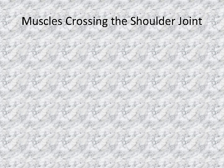 Muscles Crossing the Shoulder Joint 