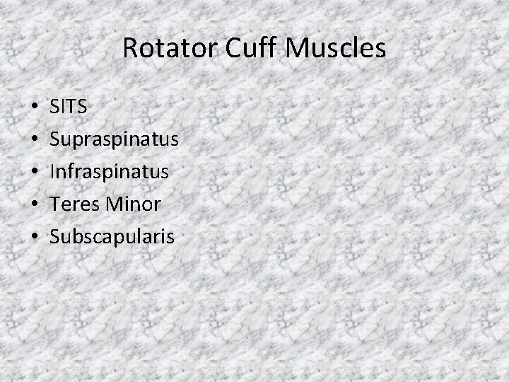 Rotator Cuff Muscles • • • SITS Supraspinatus Infraspinatus Teres Minor Subscapularis 