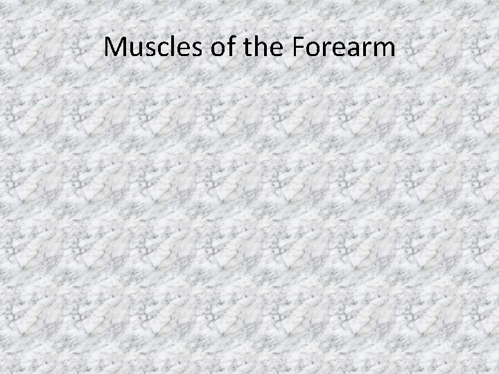 Muscles of the Forearm 