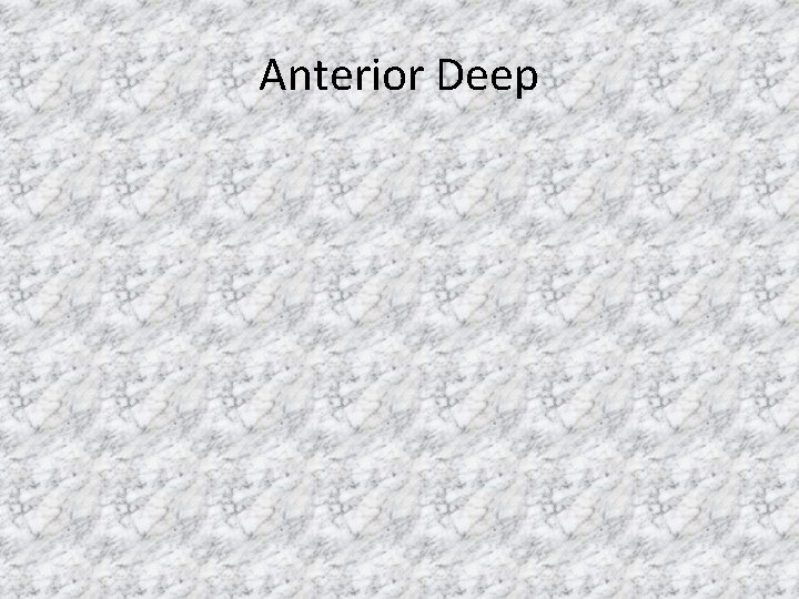 Anterior Deep 