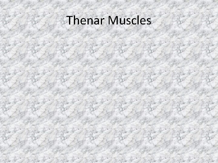 Thenar Muscles 