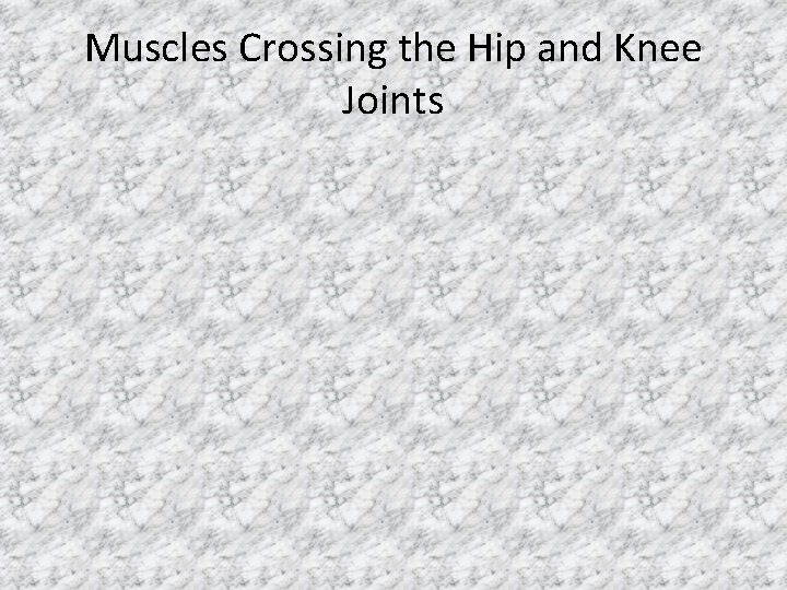 Muscles Crossing the Hip and Knee Joints 