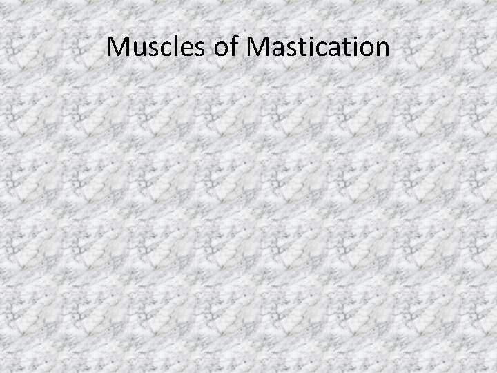 Muscles of Mastication 