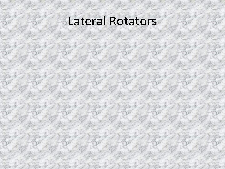 Lateral Rotators 