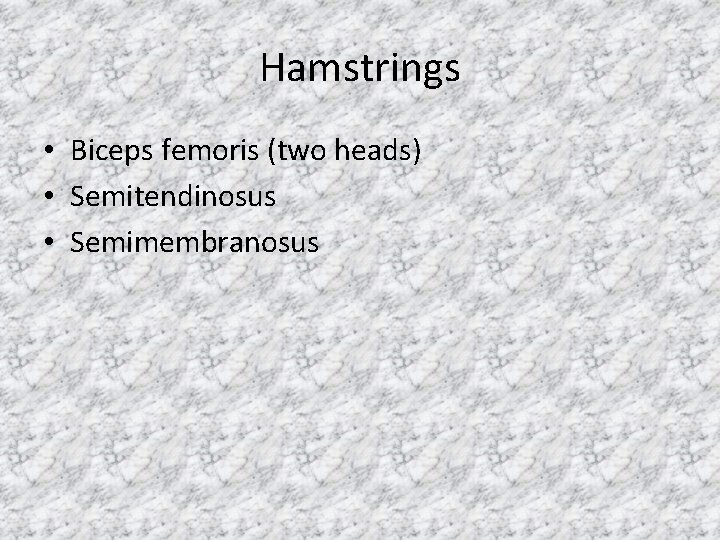 Hamstrings • Biceps femoris (two heads) • Semitendinosus • Semimembranosus 