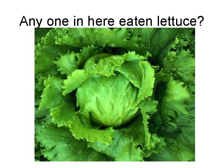 Any one in here eaten lettuce? 