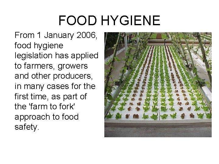 FOOD HYGIENE From 1 January 2006, food hygiene legislation has applied to farmers, growers