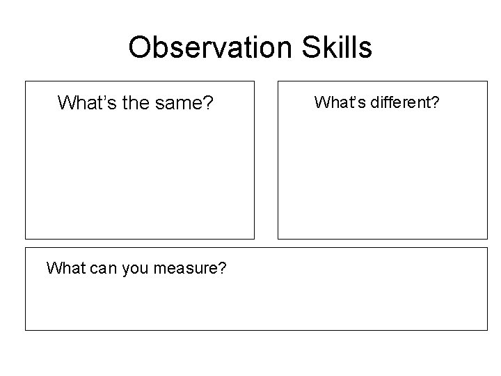 Observation Skills What’s the same? What can you measure? What’s different? 