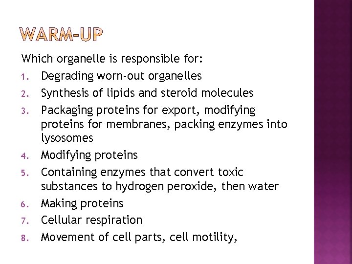 Which organelle is responsible for: 1. Degrading worn-out organelles 2. Synthesis of lipids and