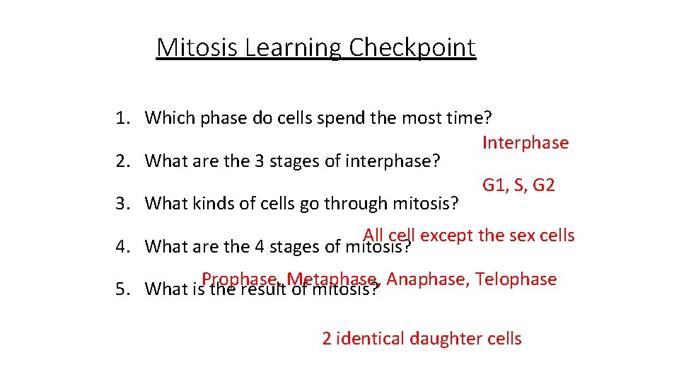 Mitosis Learning Checkpoint 1. Which phase do cells spend the most time? Interphase 2.