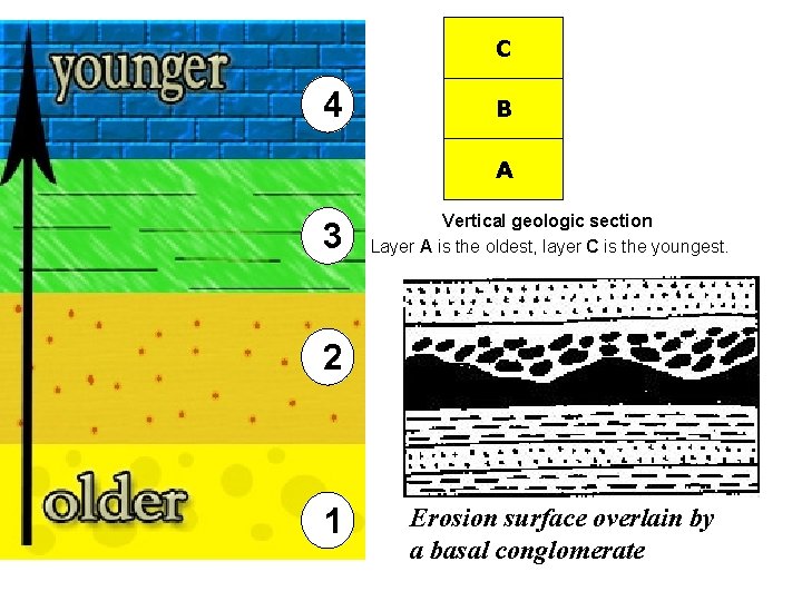C 4 B A 3 Vertical geologic section Layer A is the oldest, layer C 4 B A 3 Vertical geologic section Layer A is the oldest, layer