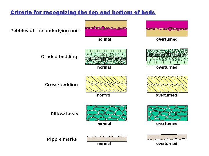 Criteria for recognizing the top and bottom of beds Pebbles of the underlying unit Criteria for recognizing the top and bottom of beds Pebbles of the underlying unit
