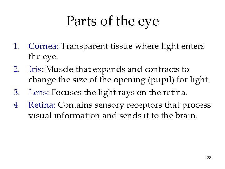 Parts of the eye 1. Cornea: Transparent tissue where light enters the eye. 2.