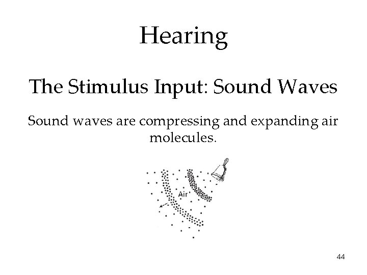 Hearing The Stimulus Input: Sound Waves Sound waves are compressing and expanding air molecules.