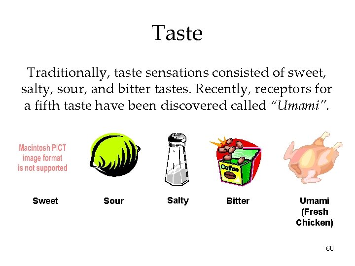 Taste Traditionally, taste sensations consisted of sweet, salty, sour, and bitter tastes. Recently, receptors