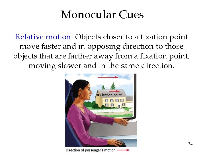 Monocular Cues Relative motion: Objects closer to a fixation point move faster and in