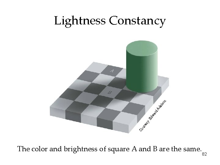 Co ur tes y Ed wa rd Ad els on Lightness Constancy The color