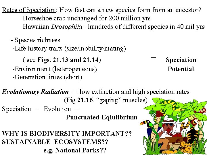 Rates of Speciation: How fast can a new species form from an ancestor? Horseshoe