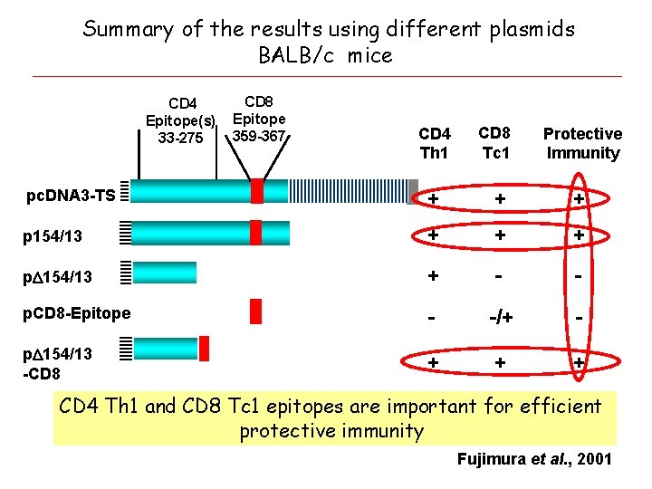 Summary of the results using different plasmids BALB/c mice CD 4 Epitope(s) 33 -275