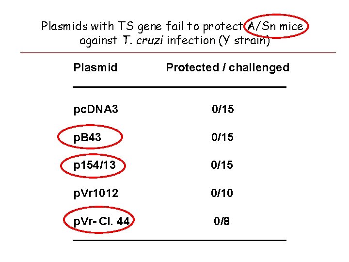 Plasmids with TS gene fail to protect A/Sn mice against T. cruzi infection (Y