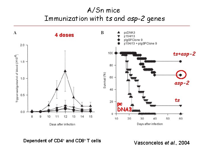 A/Sn mice Immunization with ts and asp-2 genes 4 doses ts+asp-2 pc DNA 3