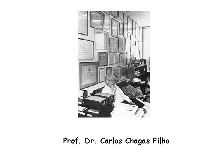 Prof. Dr. Carlos Chagas Filho 