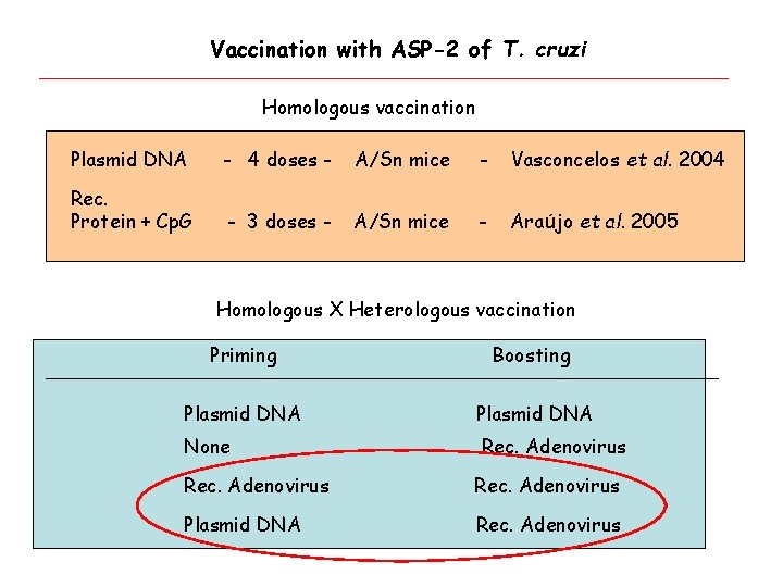 Vaccination with ASP-2 of T. cruzi Homologous vaccination Plasmid DNA - 4 doses -