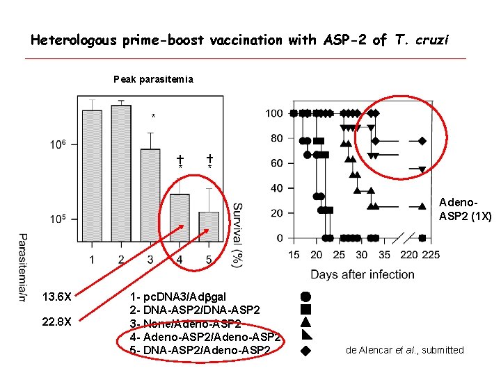 Heterologous prime-boost vaccination with ASP-2 of T. cruzi Peak parasitemia * * * Adeno.