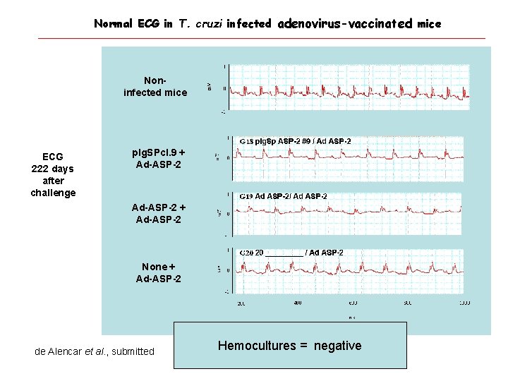 Normal ECG in T. cruzi infected adenovirus-vaccinated mice Noninfected mice ECG 222 days after