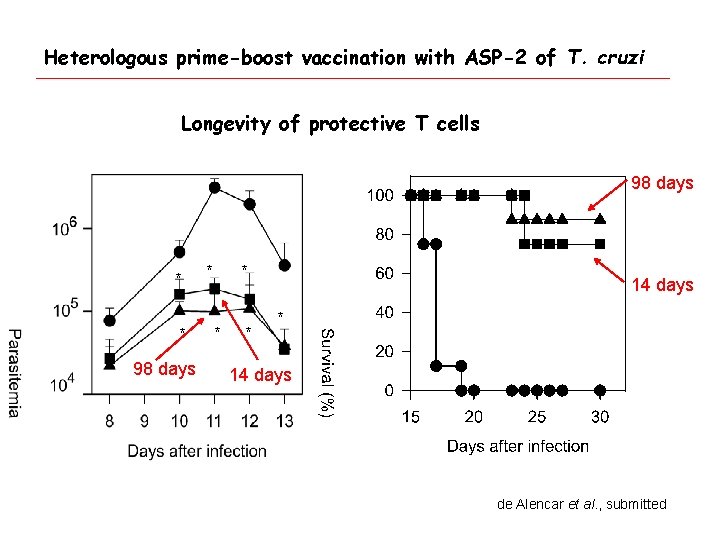 Heterologous prime-boost vaccination with ASP-2 of T. cruzi Longevity of protective T cells 98