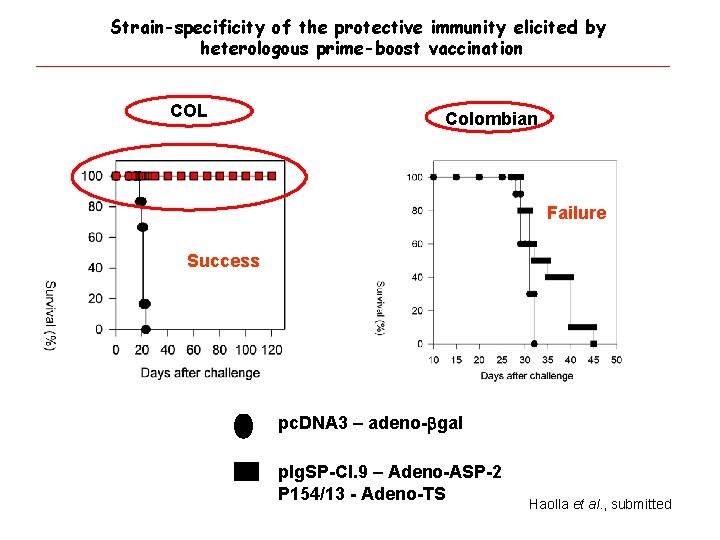 Strain-specificity of the protective immunity elicited by heterologous prime-boost vaccination COL Colombian Failure Success