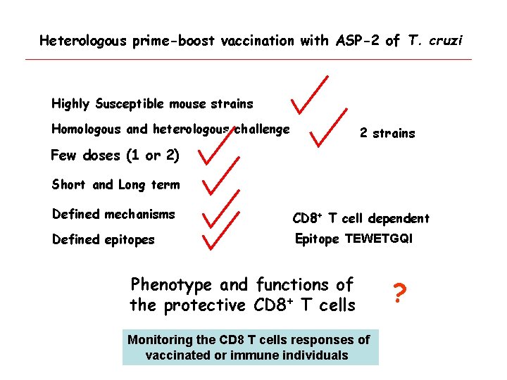 Heterologous prime-boost vaccination with ASP-2 of T. cruzi Highly Susceptible mouse strains Homologous and