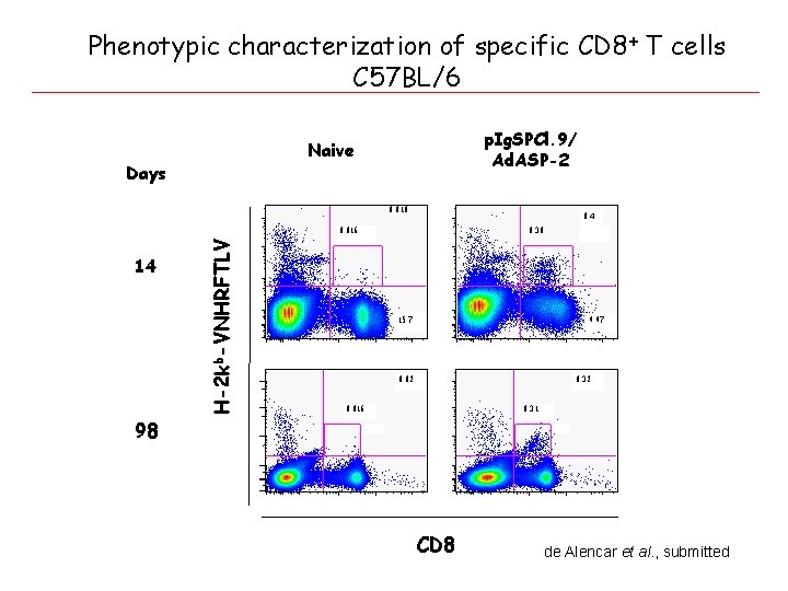 Phenotypic characterization of specific CD 8+ T cells C 57 BL/6 p. Ig. SPCl.