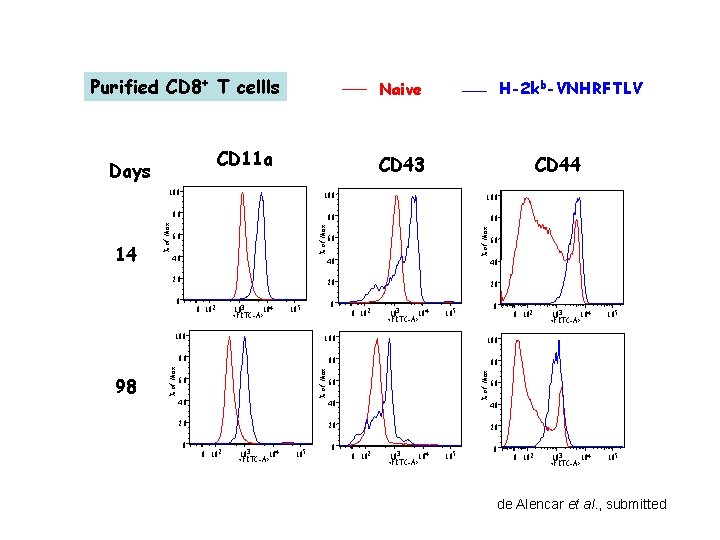 Purified CD 8+ T cellls CD 11 a Days CD 43 80 80 80