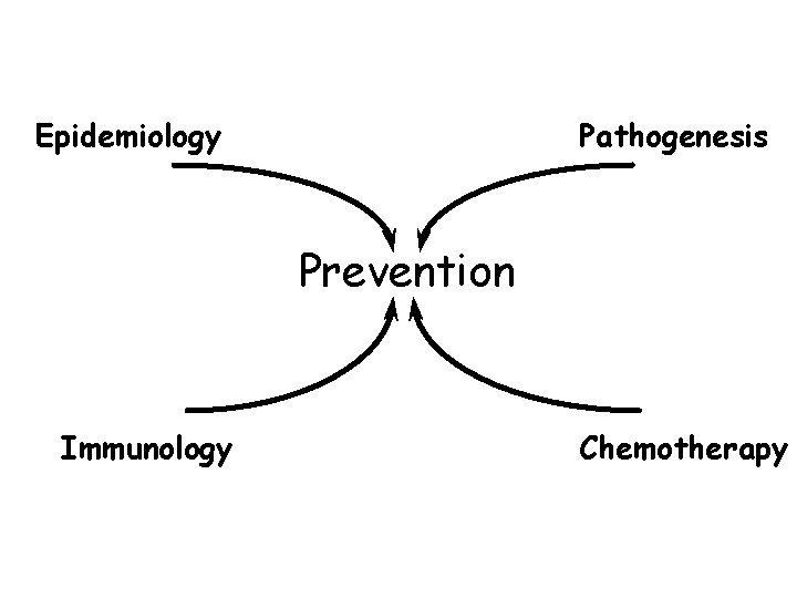 Epidemiology Pathogenesis Prevention Immunology Chemotherapy 