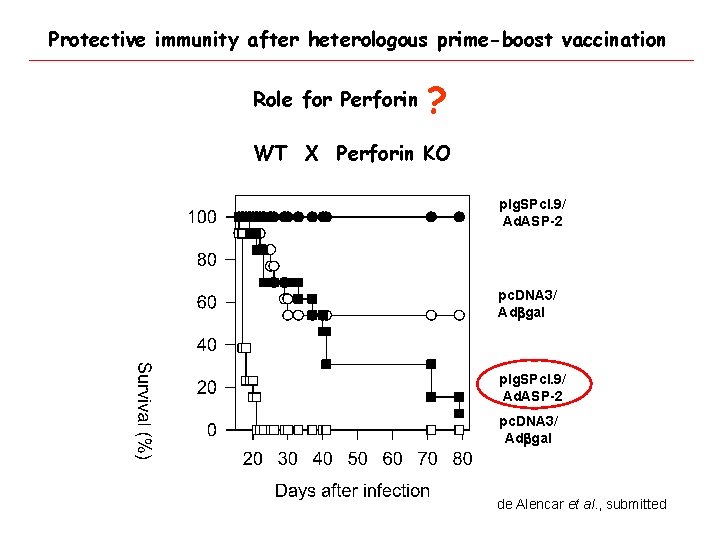 Protective immunity after heterologous prime-boost vaccination Role for Perforin ? WT X Perforin KO