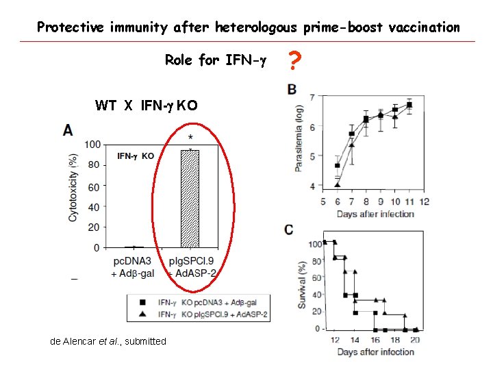 Protective immunity after heterologous prime-boost vaccination Role for IFN-g WT X IFN-g KO de