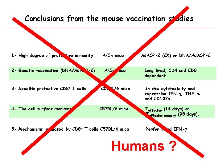 Conclusions from the mouse vaccination studies 1 - High degree of protective immunity 2