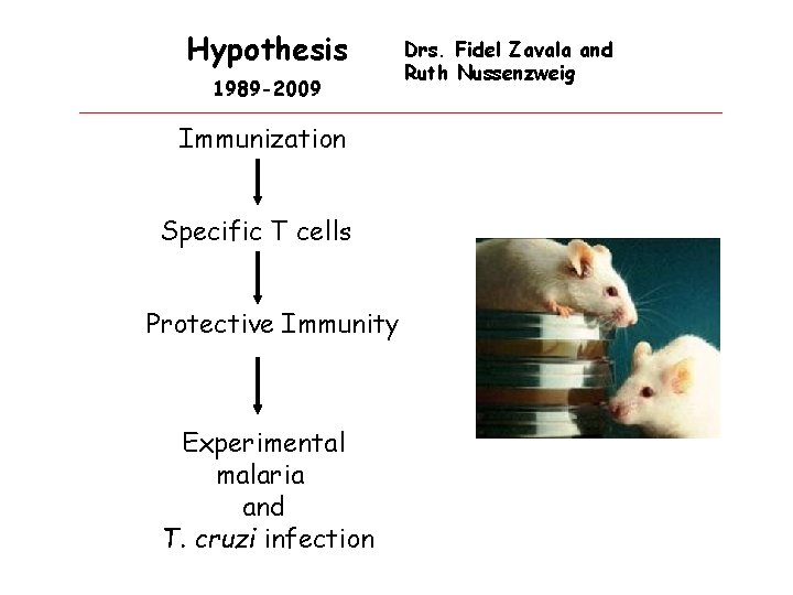 Hypothesis 1989 -2009 Immunization Specific T cells Protective Immunity Experimental malaria and T. cruzi