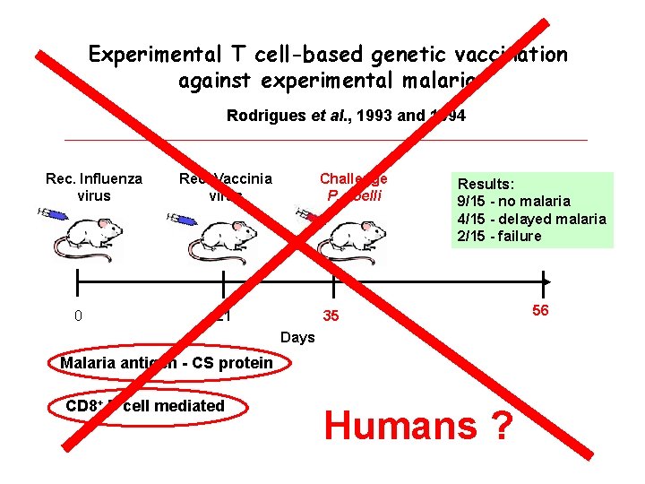 Experimental T cell-based genetic vaccination against experimental malaria Rodrigues et al. , 1993 and