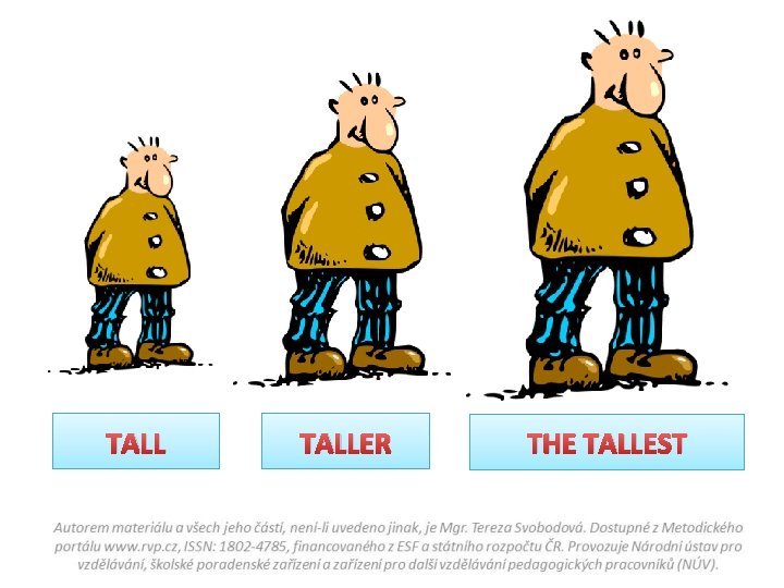 TALLER THE TALLEST 