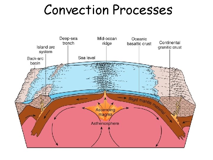 Convection Processes 